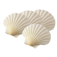 Natural King Scallop Baking Shells - Set of 4