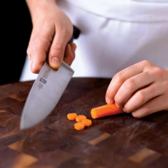 07-31-2025 Knife Skills 101