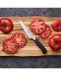 Zwilling J.A. Henckels Four Star 5.5-inch Prep Knife