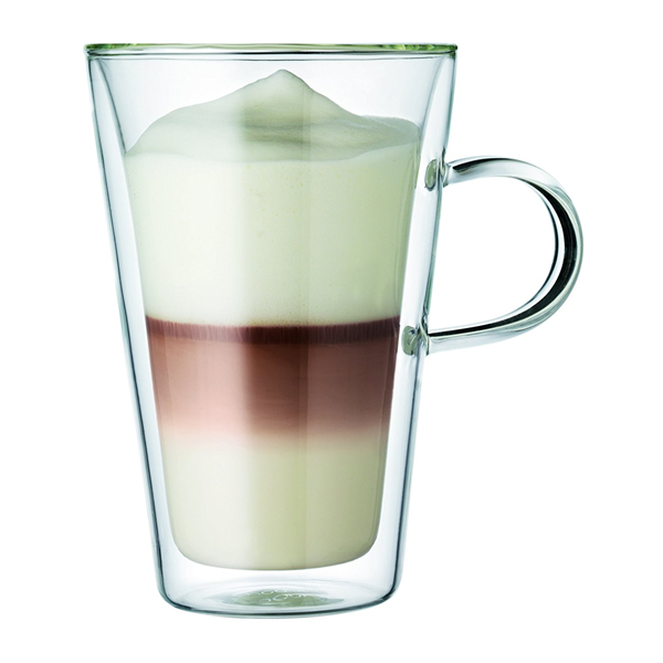 Bodum Canteen Double Wall Glass With Handle 13 5oz Set Of 2
