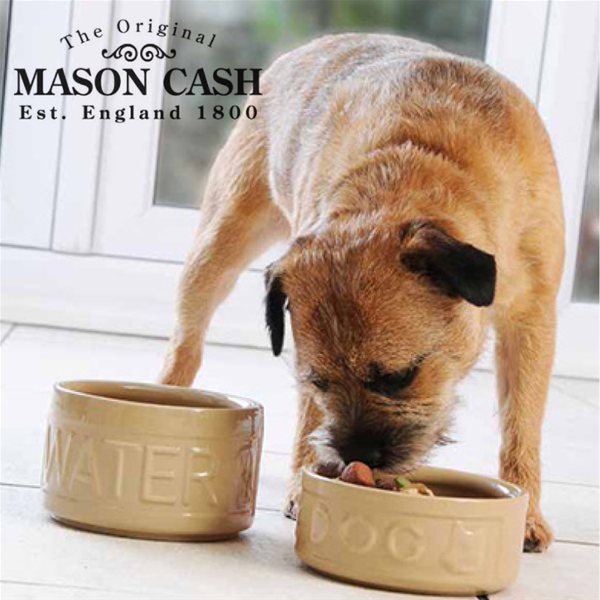 mason cash dog bowl