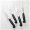 Zwilling J.A. Henckles Four Star Steak Knife SetClick to Change Image