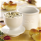 Cafe Collection Butter Bell Crocks - Matte White Click to Change Image