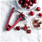 OXO Good Grips Cherry & Olive Pitter - Beet Click to Change Image