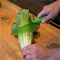 Zyliss Lettuce KnifeClick to Change Image