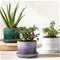 Le Creuset Large Herb Planter - WhiteClick to Change Image