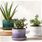 Le Creuset Large Herb Planter - ArtichautClick to Change Image