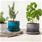 Le Creuset Large Herb Planter - Deep TealClick to Change Image