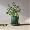 Le Creuset Herb Planter - ArtichautClick to Change Image