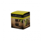 Price & Kensington 2 Cup Teapot Filter Click to Change Image