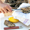 Opinel No.09 Stainless Steel Folding Oyster & Shellfish KnifeClick to Change Image