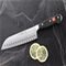 Wusthof Classic 5-Inch Hollow Ground Santoku Knife Click to Change Image