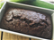 USA Pan Loaf Pan - 1lb Click to Change Image