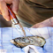 Opinel No.09 Stainless Steel Folding Oyster & Shellfish KnifeClick to Change Image