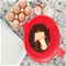 Nordic Ware Better Batter Bowl Click to Change Image