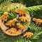 Nordic Ware Dinosaur Cakelet PanClick to Change Image