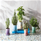 Le Creuset Herb Planter - Shell PinkClick to Change Image