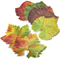 Harvest Cheese Leaves - Grape Leaf DesignClick to Change Image