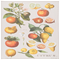 Now Designs Kitchen Towel - Citrus Botanicals Click to Change Image