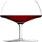 Stolze Experience 22 fl oz Red Wine Glass Click to Change Image