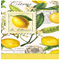 Michel Design Works 3-Ply Paper Hostess Napkins - Lemon BasilClick to Change Image