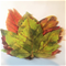 Harvest Cheese Leaves - Artist Leaves  Click to Change Image