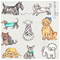 Wet-It Swedish Dishcloths - Dog FancyClick to Change Image