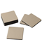 Caspari Square Lizard Coaster Set of 8 - PlatinumClick to Change Image