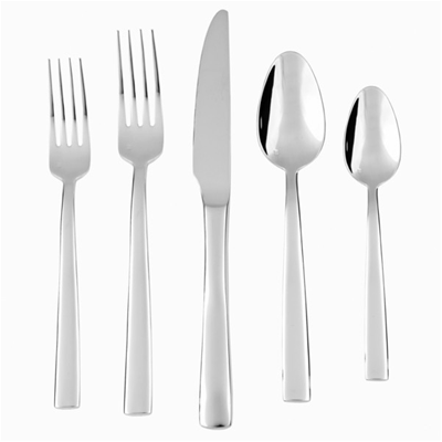 Fortessa Catana Flatware 20pc - Gift Boxed 