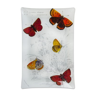 TAG Butterfly Glass Plate 