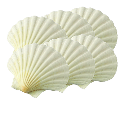 HIC Natural Scallop Baking Shells - Set of 6