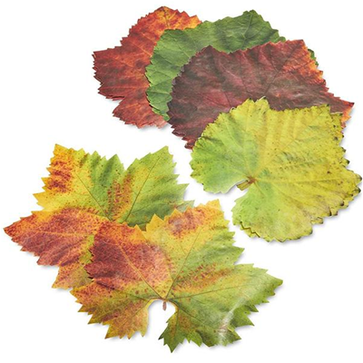 Harvest Cheese Leaves - Grape Leaf Design