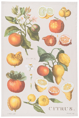 Now Designs Kitchen Towel - Citrus Botanicals 