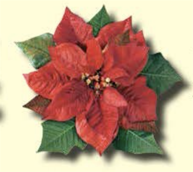 Harvest Cheese Leaves - Poinsettia